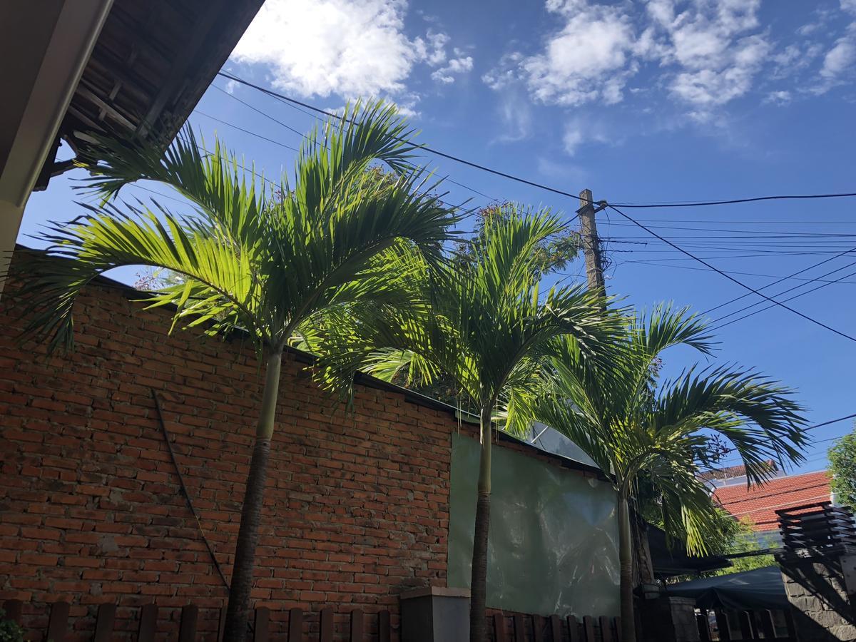 Three Palms Homestay 会安 外观 照片